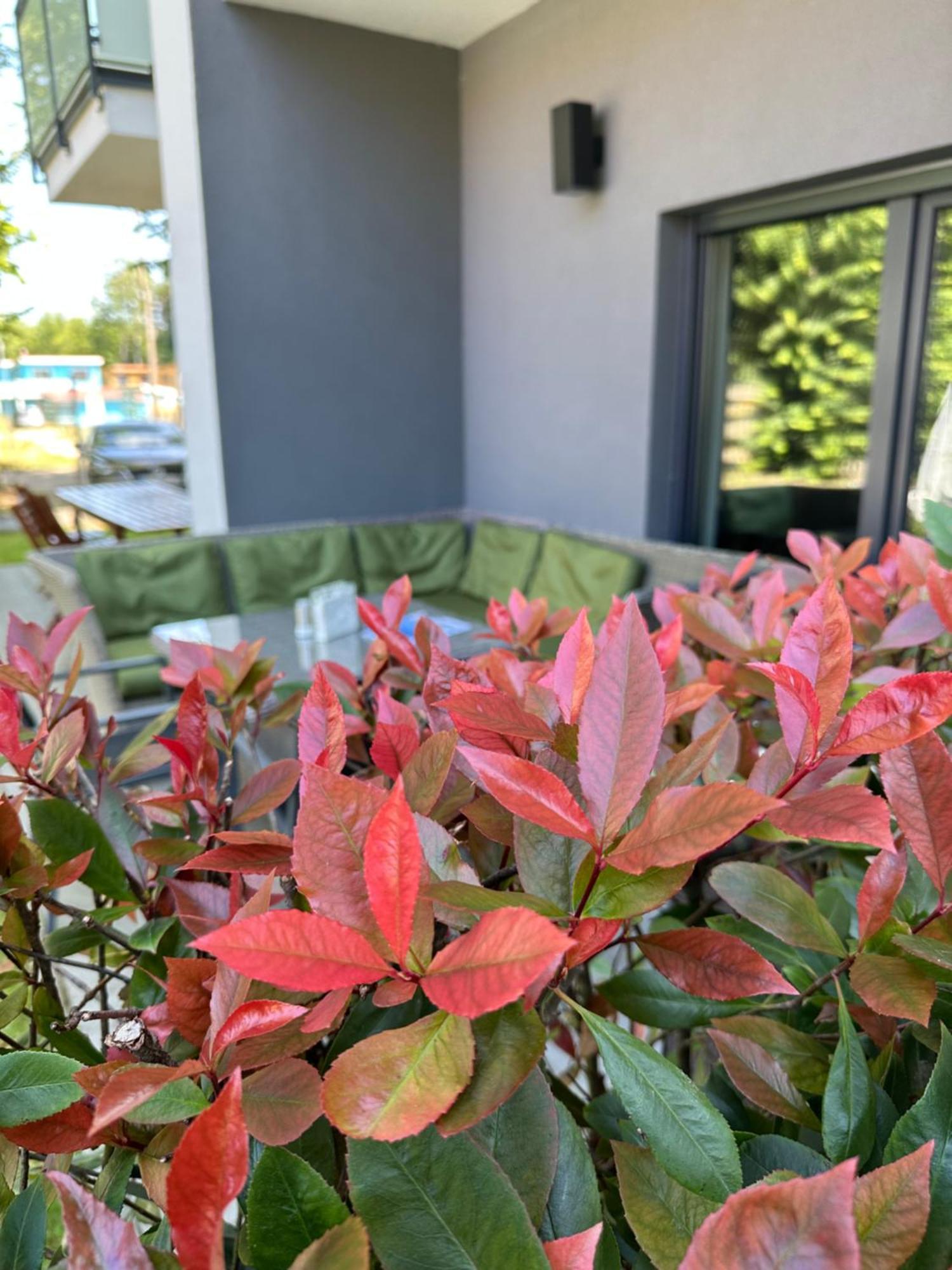רבאל Holiday Siesta Pensjonat, Domki מראה חיצוני תמונה